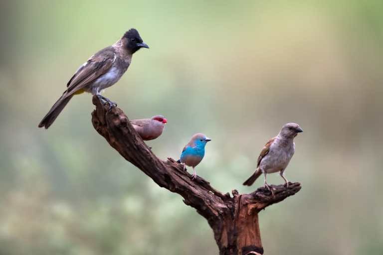 Bhejane Nature Guide Training