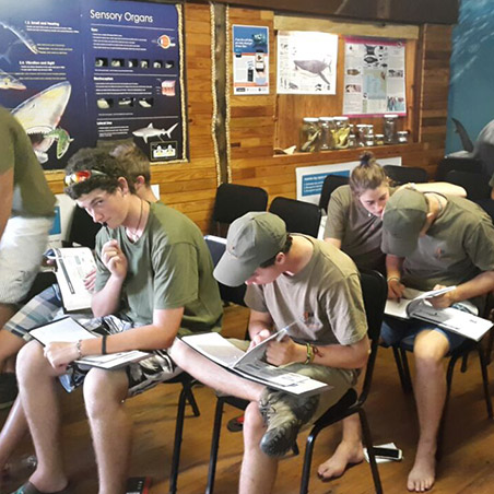 Bhejane Nature Training