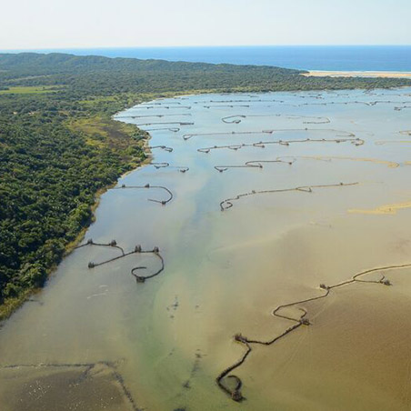 Bhejane Nature Training