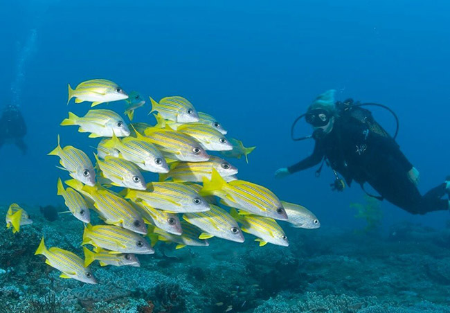Bhejane Nature Training